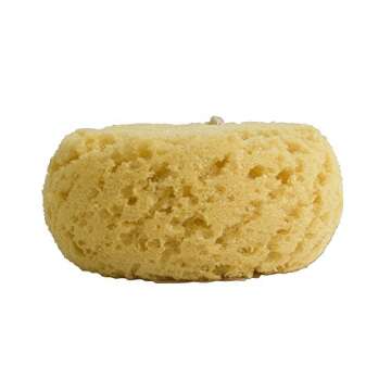 Evriholder Foam Body Sponge for Exfoliating Large Scrubber for a Relaxing Shower or Bath, Pack of 2