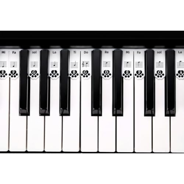 XynkoreX Silicone Piano Stickers for Easy Note Learning
