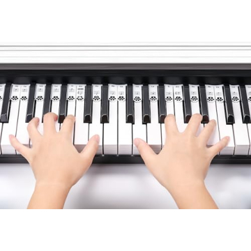 XynkoreX Silicone Piano Stickers for Easy Note Learning