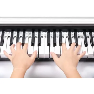XynkoreX Silicone Piano Stickers for Easy Note Learning