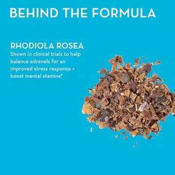 HUM Big Chill - Calming Supplement with Rhodiola Rosea for Stress & Mood Support - Balances Adrenal Health for Improved Stress Response (30-Count)