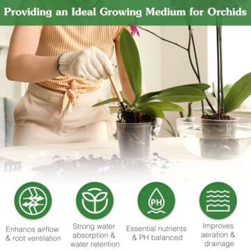 Premium Orchid Potting Mix for Healthy Orchids