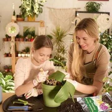 Premium Orchid Potting Mix for Healthy Orchids