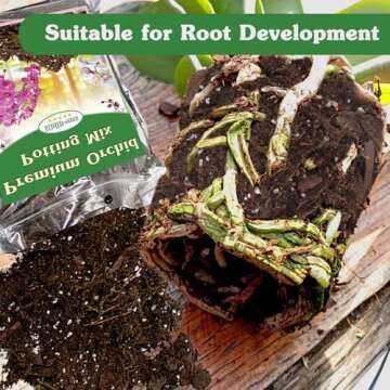 Premium Orchid Potting Mix for Healthy Orchids