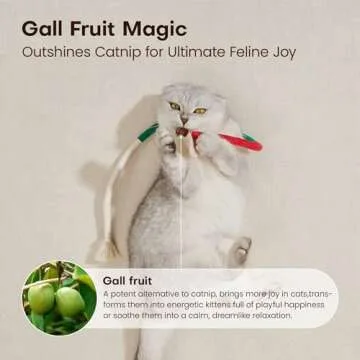 Potaroma Cat Toys Chew Ropes 3Pcs with Refillable Natural Catnip, Safe Teeth Cleaning Toy for Indoor Kittens, Interactive Cat Nip Kitty Toys for All Breeds 19.5 Inches