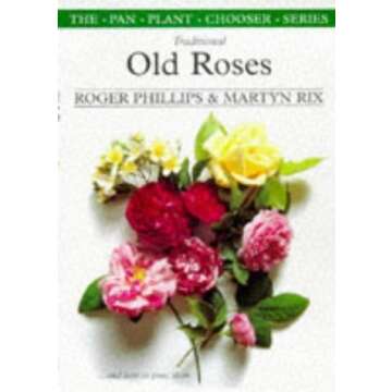 Explore the Charm of Traditional Old Roses – Ideal Gardening Guide