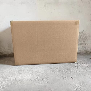 Professional CO-Z Citrus Juicer Easy to Clean and Use