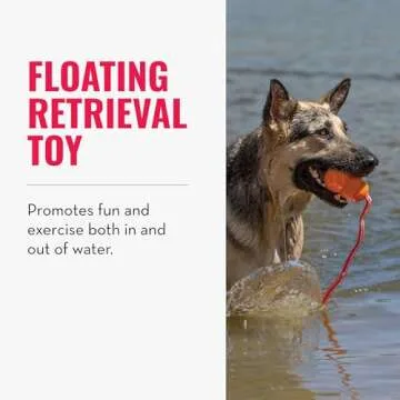 KONG Aqua Floating Fetch Toy - Dog Floating Toy for Water Retrieval, Play, Exercise & More - Natural Rubber Dog Toy with Foam Interior & Rope for Farther Throwing - Orange, for Large Dogs