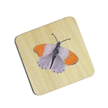 MONKEY SUN 48 Unfinished Wooden Coasters for Crafts