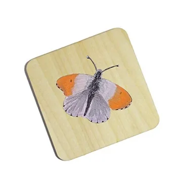 MONKEY SUN 48 Unfinished Wooden Coasters for Crafts