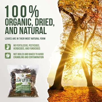 Organic Oak Leaf Litter for Terrariums - 4 Quarts
