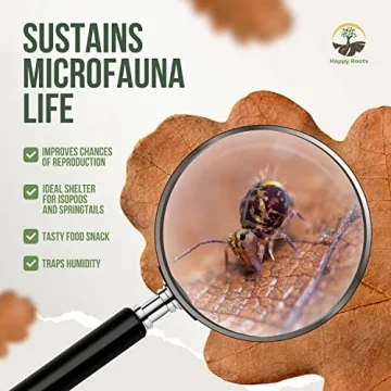 Organic Oak Leaf Litter for Terrariums - 4 Quarts