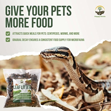 Organic Oak Leaf Litter for Terrariums - 4 Quarts