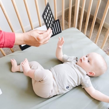 Spiggly High Contrast Baby Cards for Newborns and Infants