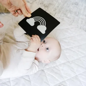 Spiggly High Contrast Baby Cards for Newborns and Infants