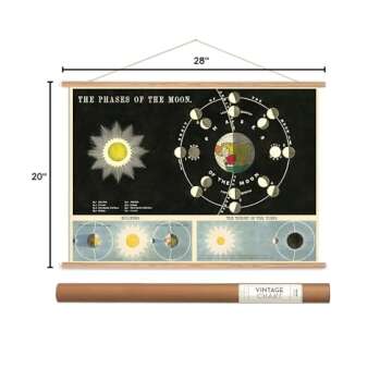 Cavallini Papers Vintage Style Decorative Poster & Hanger Kit 20 x 28, 20" x 28"