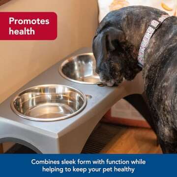 Coastal Pet Maslow Elevated Dog Feeder for Comfort and Health