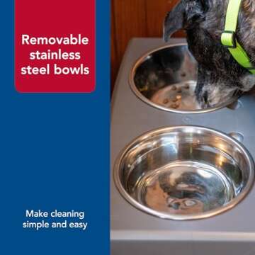 Coastal Pet Maslow Elevated Dog Feeder for Comfort and Health