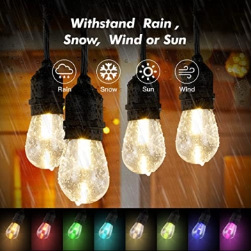 Color Changing IPStank Outdoor String Lights for Any Occasion