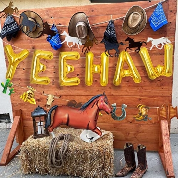 Yee Haw Balloons Enchanting Western Decorations