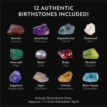 Birthstone Dig Kit - Uncover 12 Real Gemstones
