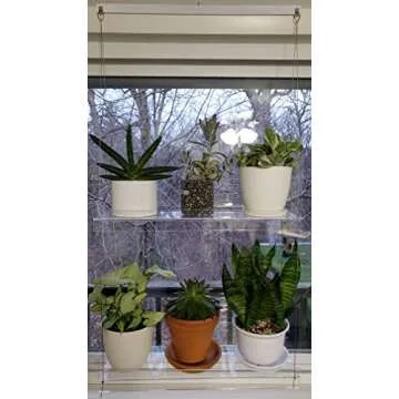 SupremeTech Hanging Acrylic Shelves for Windows - Elegant Plant Display