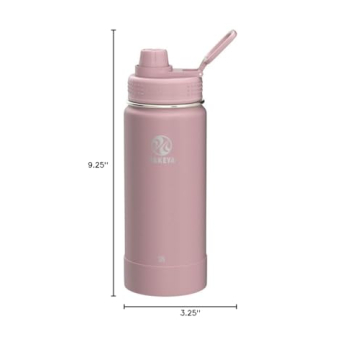 Takeya 18oz Insulated Water Bottle with Spout Lid