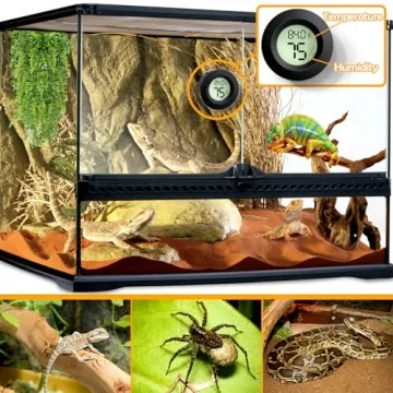 Top Reptile Thermometer and Humidity Gauge for Care