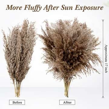 Janinka 100 Pcs Dried Pampas Grass Decor 17 Inch Bulk Natural Small Pompous Wild Fluffy Pompas Flora...