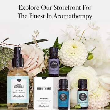 Edens Garden Essential Oils Top 24 Set – 100% Pure Therapeutic Grade, Undiluted, Natural Aromatherapy Scents Kit for Diffusers, Massage & Yoga – Relaxing Holiday Gift for Men & Women, 10 ml/ 24 Pack