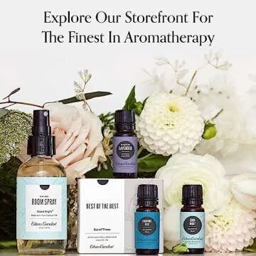 Edens Garden Essential Oils Top 24 Set – 100% Pure Therapeutic Grade, Undiluted, Natural Aromatherapy Scents Kit for Diffusers, Massage & Yoga – Relaxing Holiday Gift for Men & Women, 10 ml/ 24 Pack