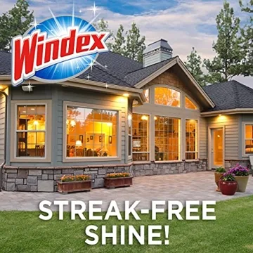 Windex Outdoor Glass Cleaner for Hose with Ammonia Free Formula