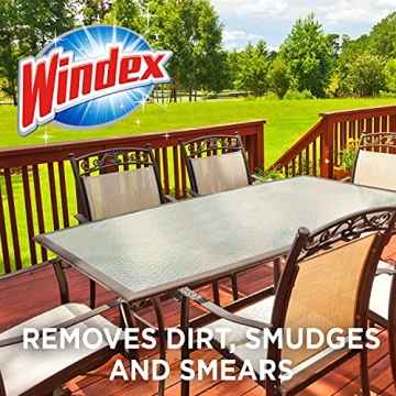 Windex Outdoor Glass Cleaner for Hose with Ammonia Free Formula