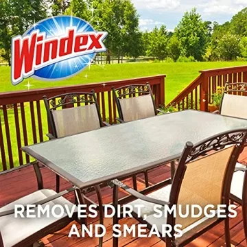 Windex Outdoor Glass Cleaner for Hose with Ammonia Free Formula
