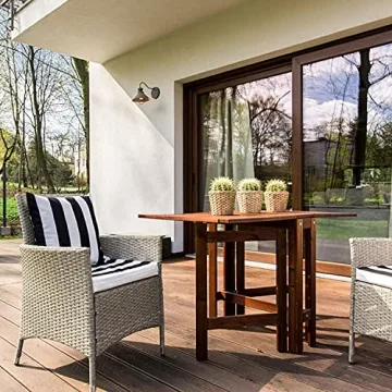 Windex Outdoor Glass Cleaner for Hose with Ammonia Free Formula