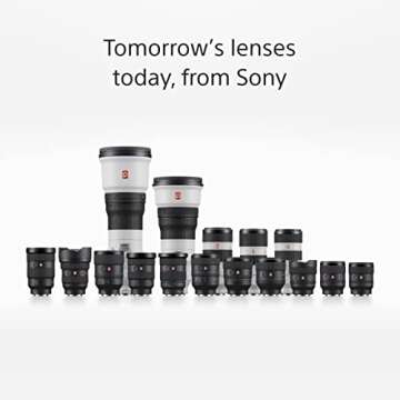 Sony FE 24 mm f/1.4 GM | Full-Frame, Wide Angle, Prime Lens (SEL24F14GM) Black