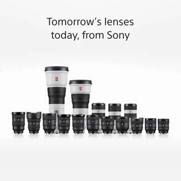 Sony FE 24 mm f/1.4 GM | Full-Frame, Wide Angle, Prime Lens (SEL24F14GM) Black