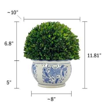 Galt International 11" Naturally Preserved Real Boxwood Ball in Hand-Painted Round Bulb Blue & White China Pot Planter Green Indoor Plant Home Decor (11" Topiary)