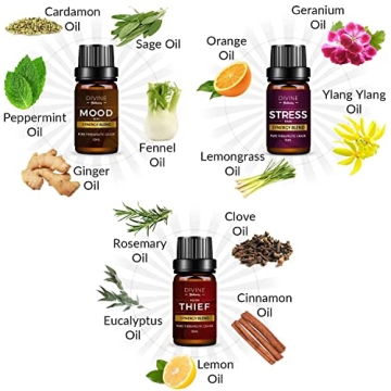 Top 6 Essential Oils Blend for Mood and Wellness