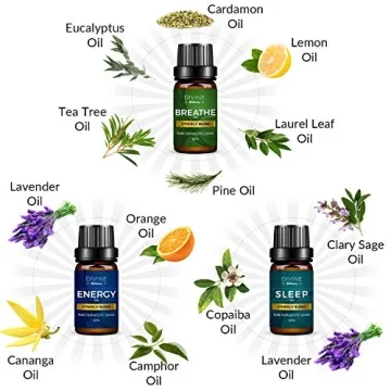 Top 6 Essential Oils Blend for Mood and Wellness