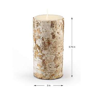 Serene Spaces Living Birch Bark Candle Set - Rustic Charm for Home & Events