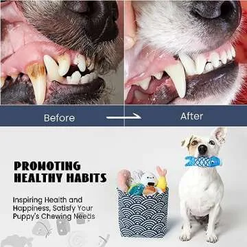 Nocciola 10 PCS Sushi Small Dog Toys to Keep Them Busy, Cute Stuffed Puppy Toys with Bag, Plush Dog Squeaky Toy for Small to Medium Dog, Doggie Birthday Gifts