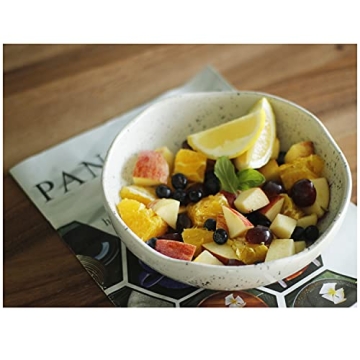 Roro Handmade Speckled Ceramic Pasta Bowls Set of 2