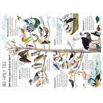 Engaging Big Book of Birds for Young Explorers