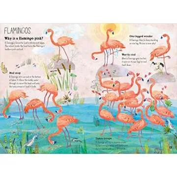 Engaging Big Book of Birds for Young Explorers