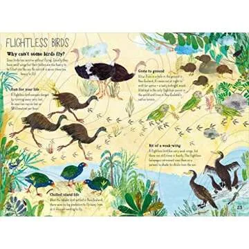 Engaging Big Book of Birds for Young Explorers