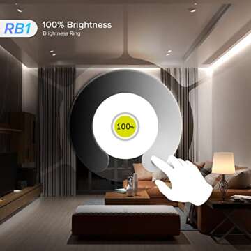 BTF-LIGHTING SPI PWM LED Controller and Wireless 2.4G RF 4 Zone RF Remote Work with SPI PWM LED Strip