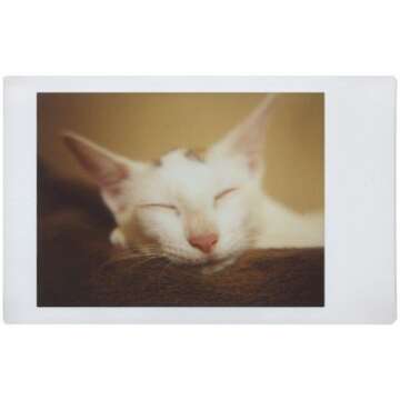 Lomography Lomo'Instant Automat South Beach - Instant Film Camera Compatible for Fujifilm Instax Mini Film