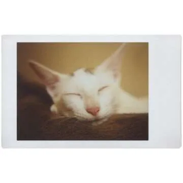 Lomography Lomo'Instant Automat South Beach - Instant Film Camera Compatible for Fujifilm Instax Mini Film