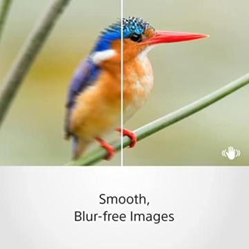 Sony SEL35F18 35mm f/1.8 Prime Fixed Lens for Sharp Clarity